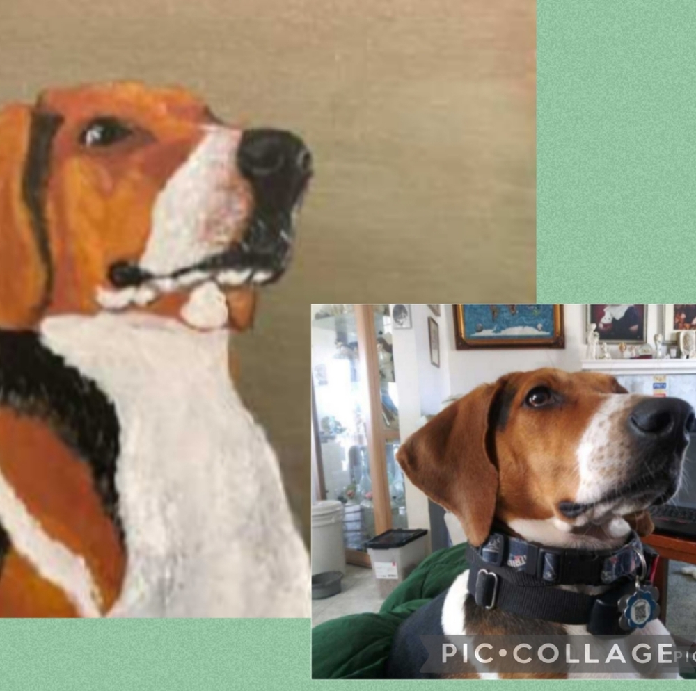 Have your Pet Painted!!!
